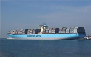 Ningbo nach VLORES Logistikspediteur Seefracht Niedriger Preis